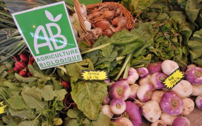 Agriculture paysanne : les promesses « oubliées » de Pécresse