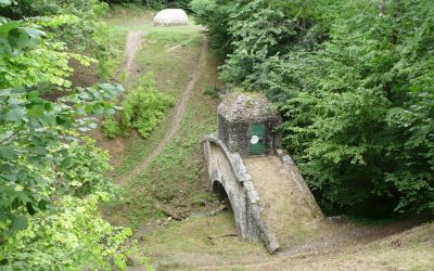 Halte au saccage environnemental en Seine-et-Marne !