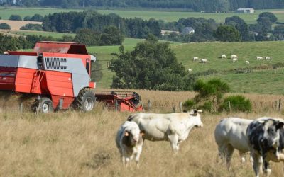 Pacte agricole : au delà des intentions, Pécresse ne rompt pas avec le modèle productiviste