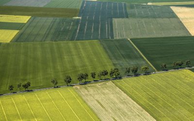 Pour une agriculture francilienne à la hauteur des enjeux sanitaires et environnementaux : un effort Madame Pécresse!