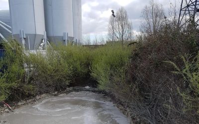 Pollution de la Seine à Nanterre par Vinci : les associations de pêche et de protection de l’environnement doivent être entendues!